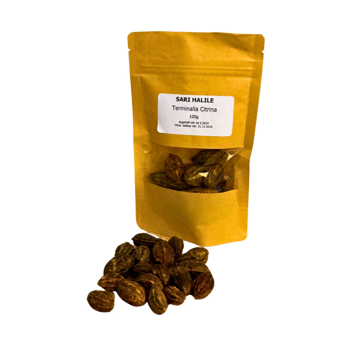Terminalia Citrina – Sifa Aktar Linz