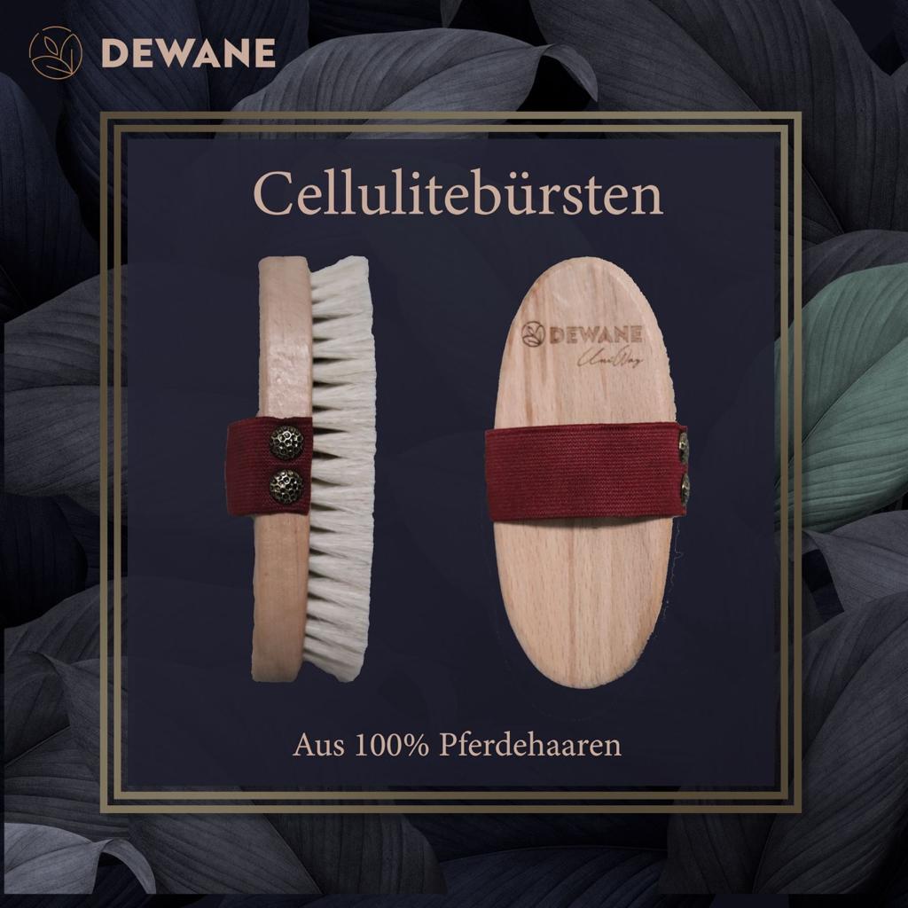 Cellulitebürste – Sifa Aktar Linz
