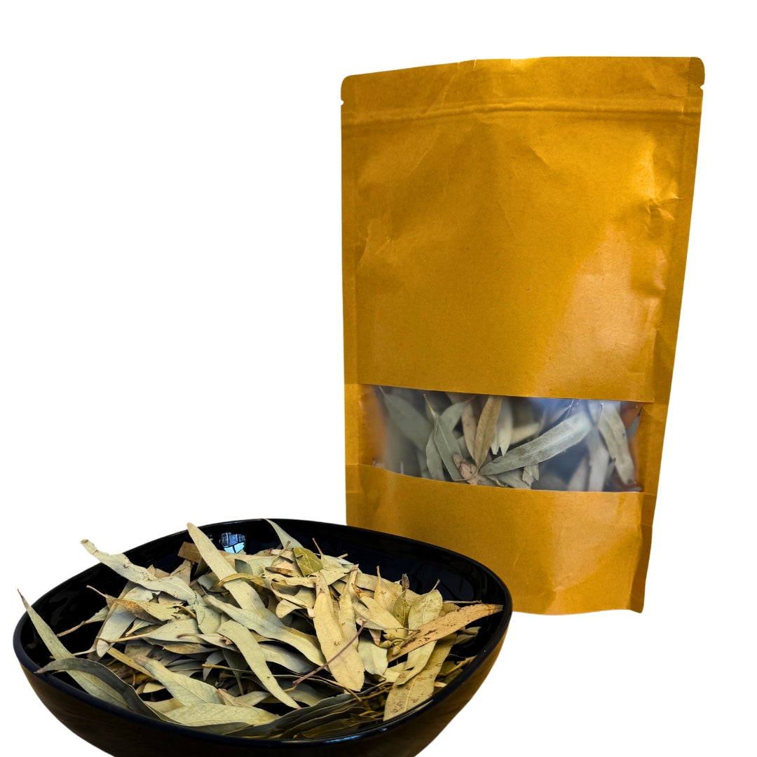 Eukalyptus – Sifa Aktar Linz