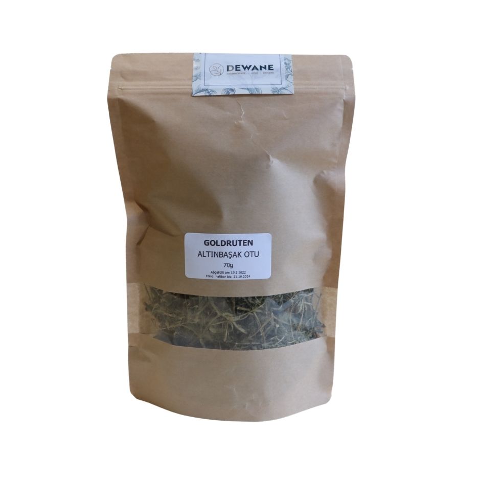 Goldrutenkraut – Sifa Aktar Linz