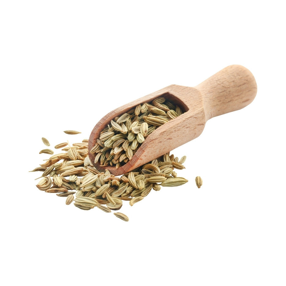 Fenchel – Sifa Aktar Linz