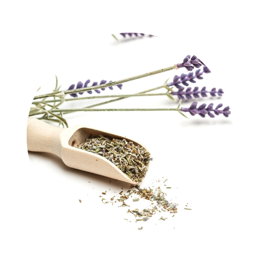 Lavendelblüten – Sifa Aktar Linz